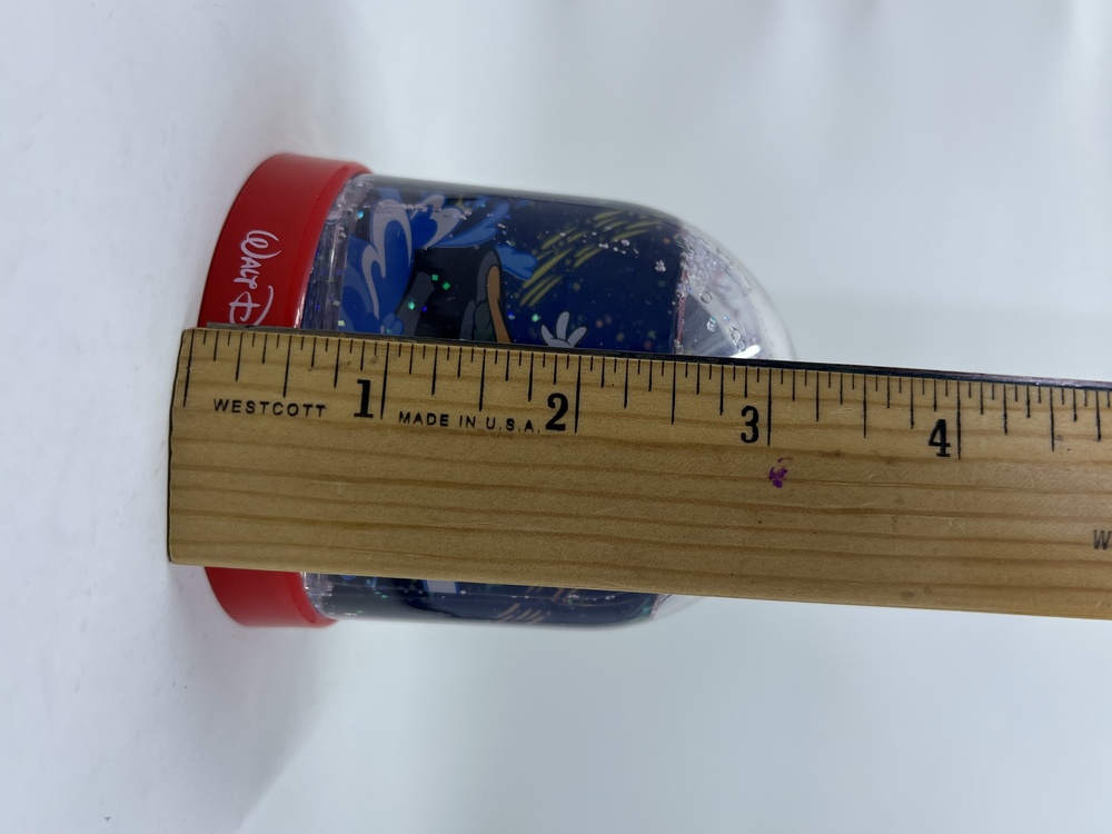 Walt Disney World Picture Frame Snow Globe